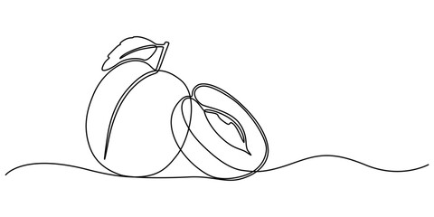 Single Line Drawing of a Plum Fruit Minimalist Art, Plum drawn in one continuous line. One line drawing, minimalism. Vector illustration, Plum fruits continuous one line drawing isolated on white back