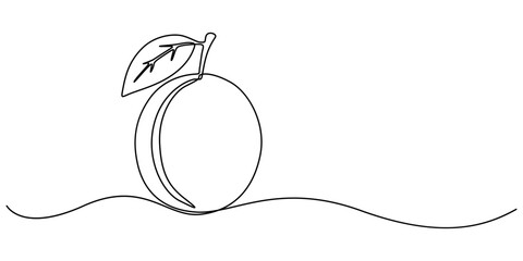 Single Line Drawing of a Plum Fruit Minimalist Art, Plum drawn in one continuous line. One line drawing, minimalism. Vector illustration, Plum fruits continuous one line drawing isolated on white back