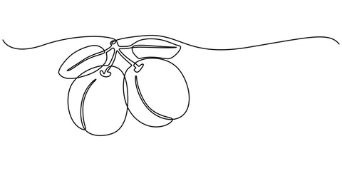 Single Line Drawing of a Plum Fruit Minimalist Art, Plum drawn in one continuous line. One line drawing, minimalism. Vector illustration, Plum fruits continuous one line drawing isolated on white back
