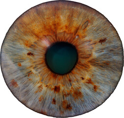 eye iris isolated with no background