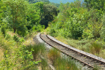 forgotten track.