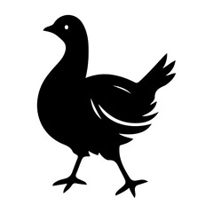 Obraz premium silhouette of a turkey bird