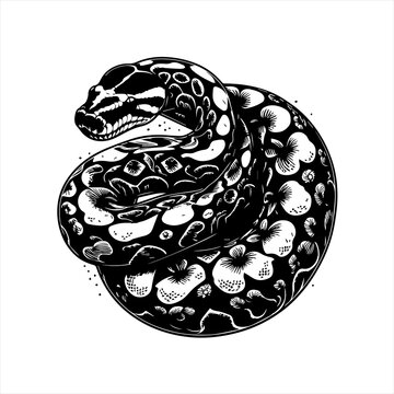 Coiled snake illustration