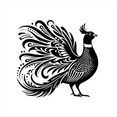 Fototapeta premium Ornate pheasant with flowing tail