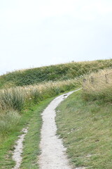 path in the field