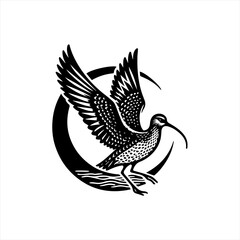 Curlew bird in flight