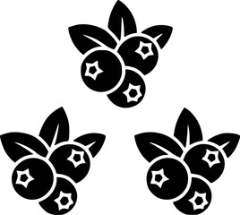Black blueberries with leaves blueberry fruit
