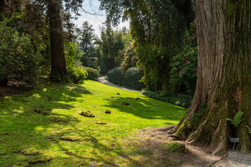 The beautiful botanical gardens of Isola Madre, located at Lake Maggiore, Piedmont, Italy