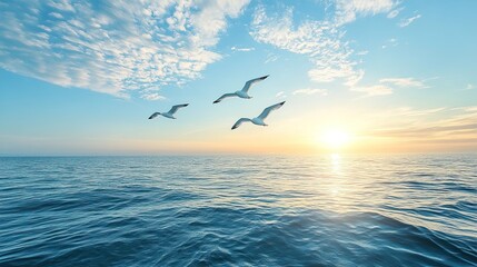 Birds in the Sky Over a Quiet Ocean 