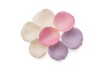 Pastel-colored rose petals arranged in a circular pattern, creating a delicate and romantic composition on a transparent background