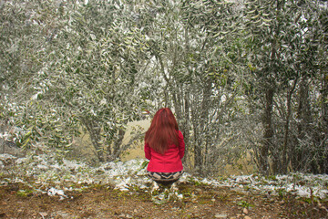 Fototapety na wymiar - Fototapeta24.pl