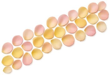 Rose petals in shades of pink and yellow are meticulously arranged on a transparent background, forming a visually appealing design