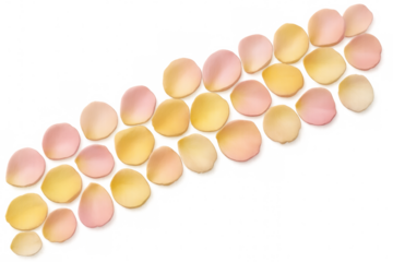 Rose petals in shades of pink and yellow are meticulously arranged on a transparent background, forming a visually appealing design