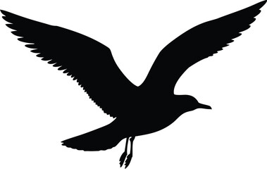 Elegant seagull in flight silhouette for beach themed artwork