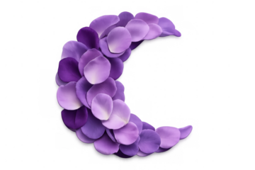 Crescent moon made of purple rose petals isolated on transparent background, ideal for romantic or fantasy themed projects