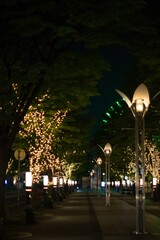 神戸 元町 スナップフォト

