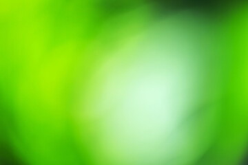 植物をぼかした緑の背景素材