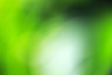 植物をぼかした緑の背景素材