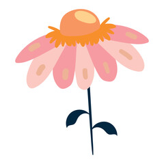 Bright Pink Coneflower With Large Petals And Orange Center. Delicate cartoon wild plant. Cute nature herb perfect for invitations, cards, posters, holidays, stickers.
