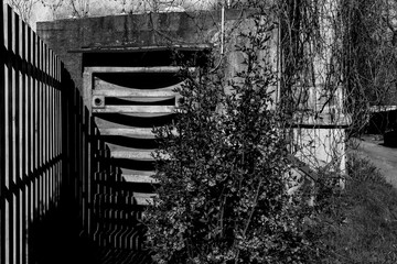 Abandoned Bunker Overgrown with Vines – Monochrome Urban Decay