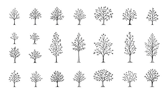 Line art of many trees in various shapes, bare branches and few leaves