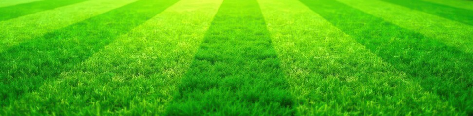 Uniformly cut, vibrant green golf course grass, geometric pattern, lush, summer