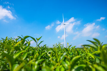 Wind turbines among green fields and blue sky