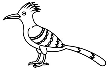 Stylized Hoopoe Line Drawing