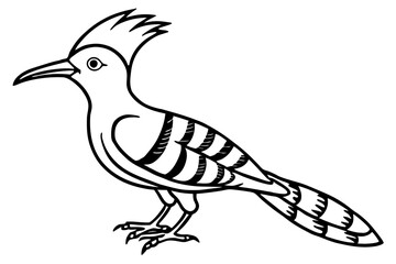 Stylized Hoopoe Line Drawing