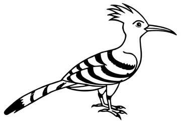 Stylized Hoopoe Line Drawing