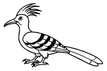 Stylized Hoopoe Line Drawing