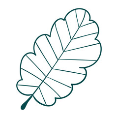 Green Outline Drawing Of A Stylized Leaf. Delicate cartoon outline plant. Cute nature herb perfect for invitations, cards, posters, holidays, stickers