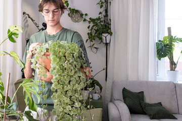 Home plants and the environment A young man is taking care of plants at home. Ampel climbing plant . Glechoma hederacea.