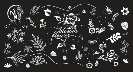 Flowers and Leaves Design Elements