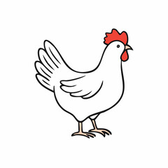 Isolated hen stands still on plain background, shows clear plumage and details