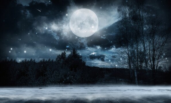 Mystical Moonlight Night Landscape with Forest Bare Trees and Foggy Ground