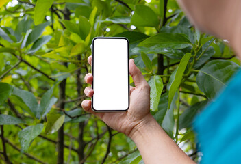 Man holding phone blank screen in the garden, outdoor. Phone mockup