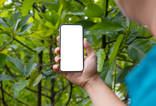 Man holding phone blank screen in the garden, outdoor. Phone mockup - Powered by Adobe