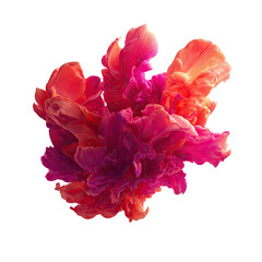 Vibrant, swirling ink explosion in shades of pink and orange