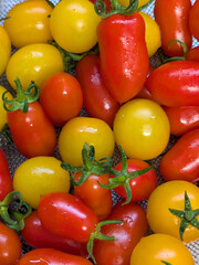 Close up of home grown tomatoes in a bowl waiting to be cooked