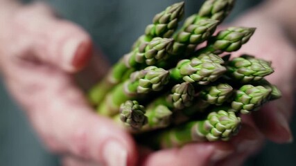 Chef holding fresh green asparagus spears - Powered by Adobe