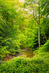 The Rigole de la Montagne Noire is an irrigation channel located in the Tarn department of France. It was built in the 19th century to supply water to the Canal du Midi, bringing water from the Montag