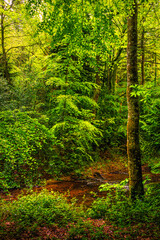 The Rigole de la Montagne Noire is an irrigation channel located in the Tarn department of France. It was built in the 19th century to supply water to the Canal du Midi, bringing water from the Montag