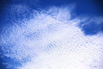 青空とうろこ雲