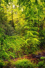 The Rigole de la Montagne Noire is an irrigation channel located in the Tarn department of France. It was built in the 19th century to supply water to the Canal du Midi, bringing water from the Montag