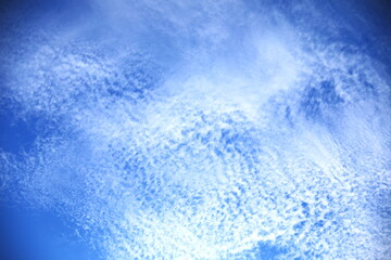 青空とうろこ雲