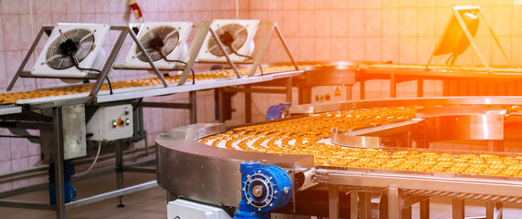 Biscuit production line at a bustling factory creating delicious treats during a bright morning...