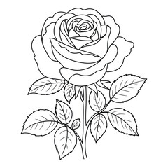 Beautiful Rose Flower Line Art: Floral Bloom, Nature, and Romantic Outline Drawing