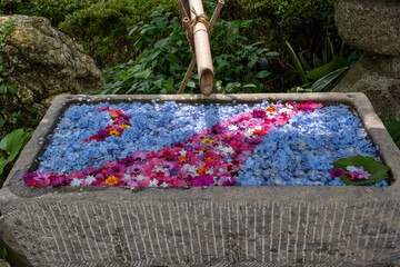 紫陽花の花手水
