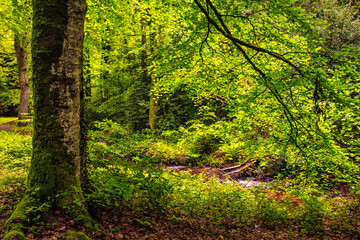 The Rigole de la Montagne Noire is an irrigation channel located in the Tarn department of France. It was built in the 19th century to supply water to the Canal du Midi, bringing water from the Montag